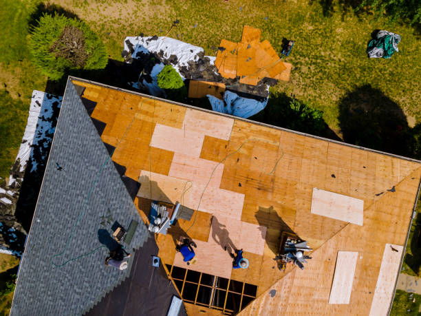 Best Metal Roofing Contractor  in Marcellus, MI