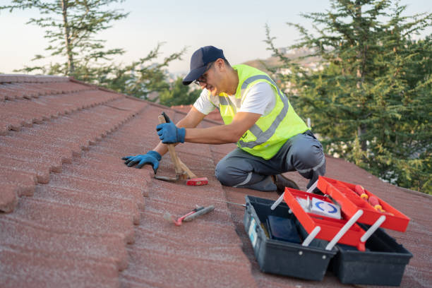 Best Roof Repair Services  in Marcellus, MI