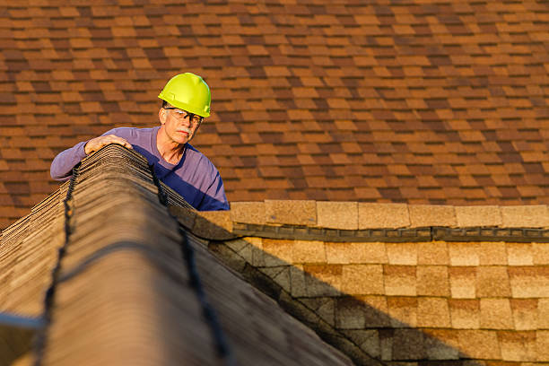 Best Local Roofing Companies  in Marcellus, MI