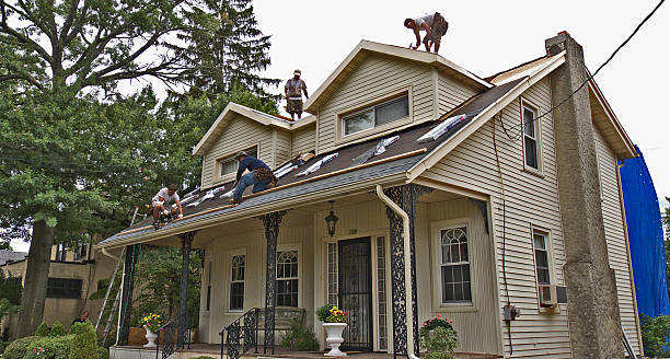 Best Roof Gutter Cleaning  in Marcellus, MI
