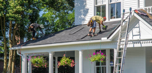 Best Roof Repair Services  in Marcellus, MI